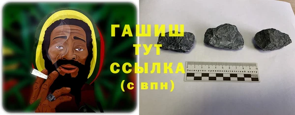 молекула духа Арсеньев