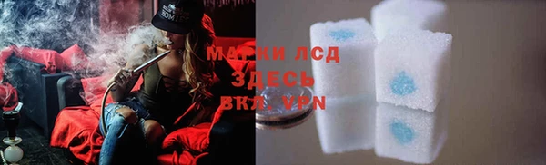 молекула духа Арсеньев