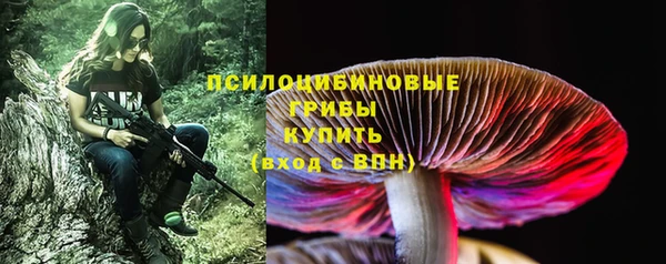 молекула духа Арсеньев