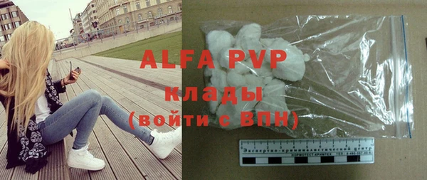 молекула духа Арсеньев