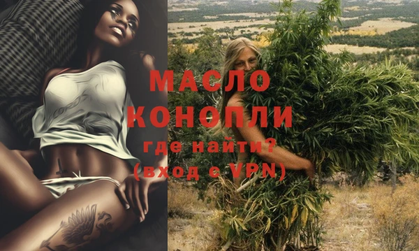 молекула духа Арсеньев