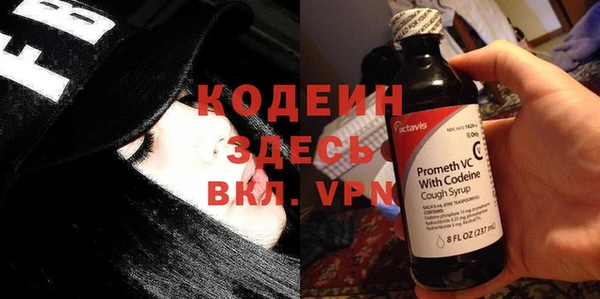 молекула духа Арсеньев