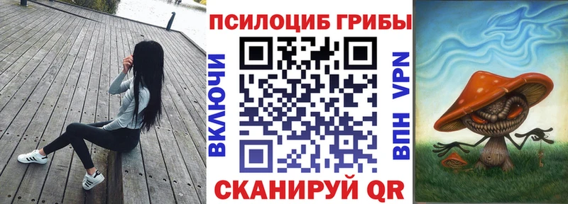 Псилоцибиновые грибы MAGIC MUSHROOMS  Купить где  Острогожск 